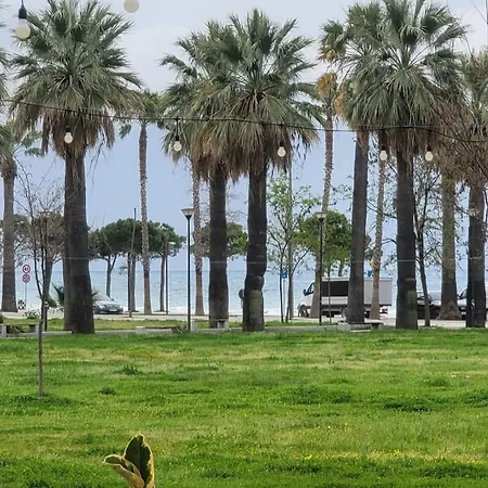 Tedi's Nest Apartment