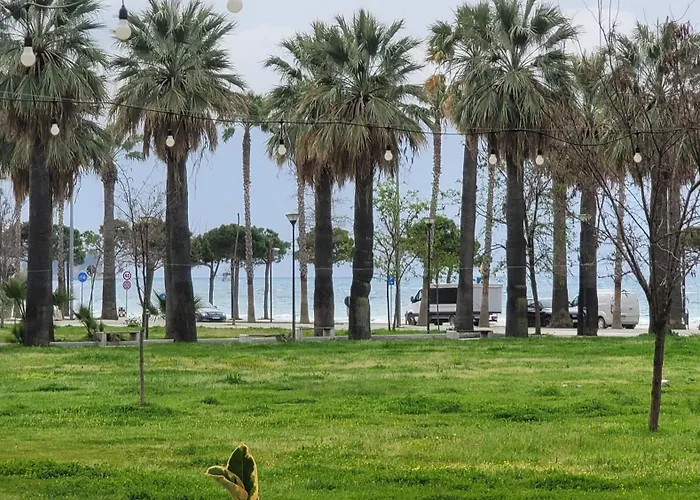 Tedi's Nest Apartment